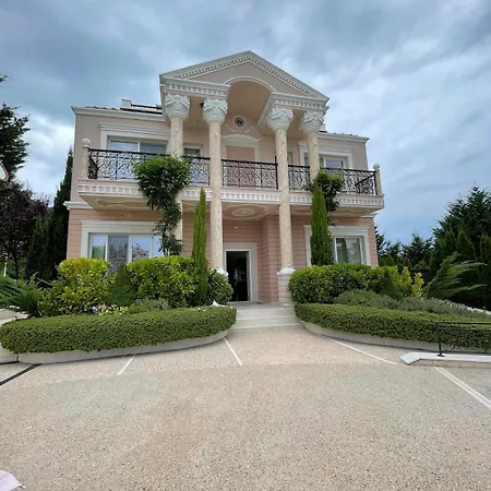 Willa Luxury In *